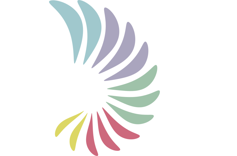 CHD OBHS Springfield