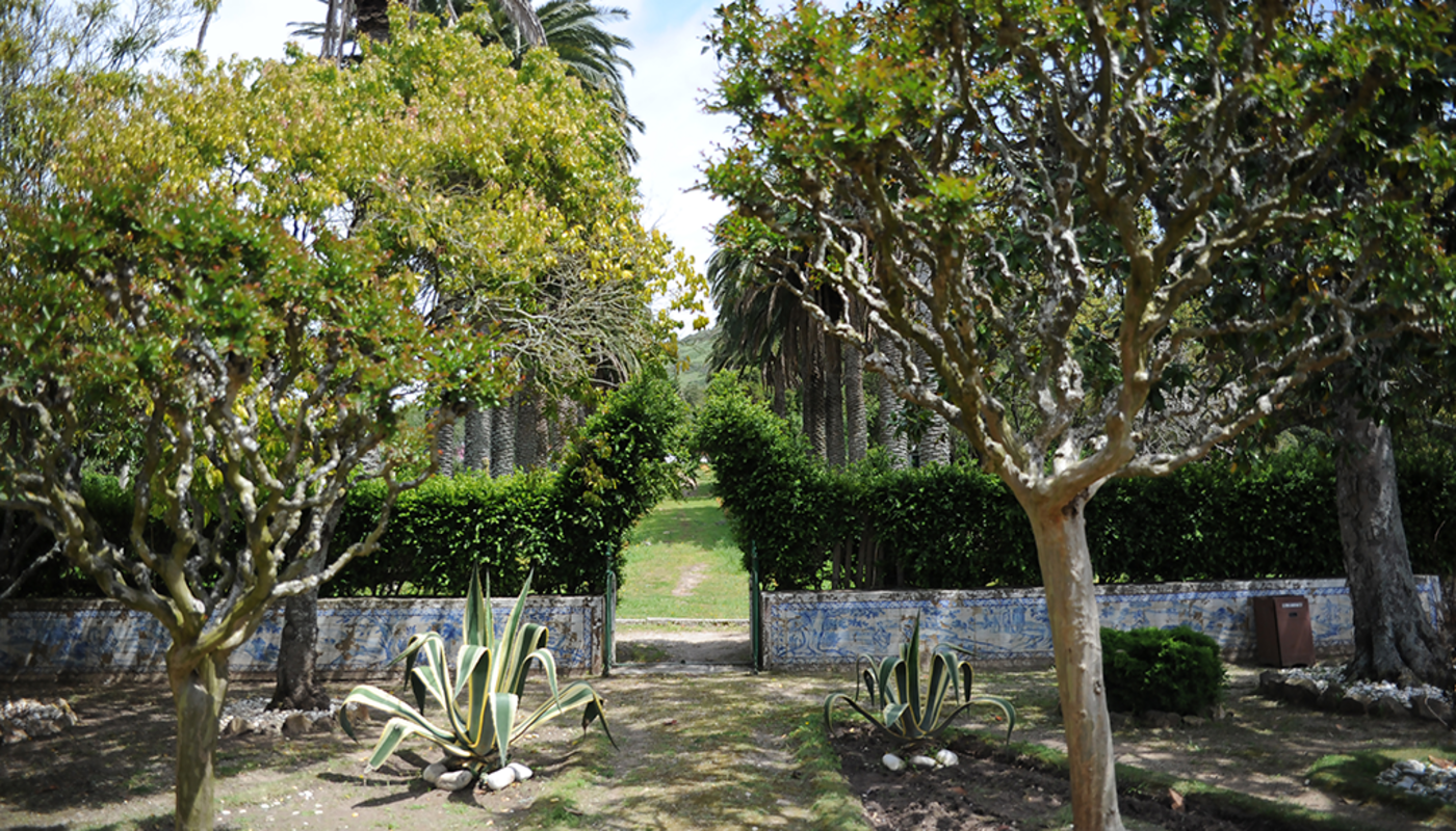 Dianova Addiction Recovery Centre