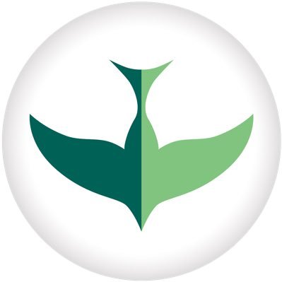 Helen Ross McNabb Center MOMS Program