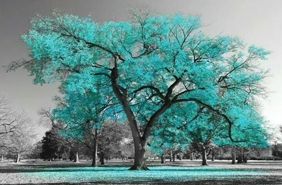 Progress House Progress House Counseling Center