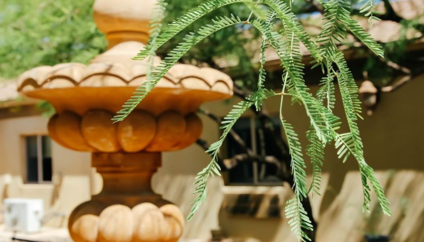 The River Source Tucson