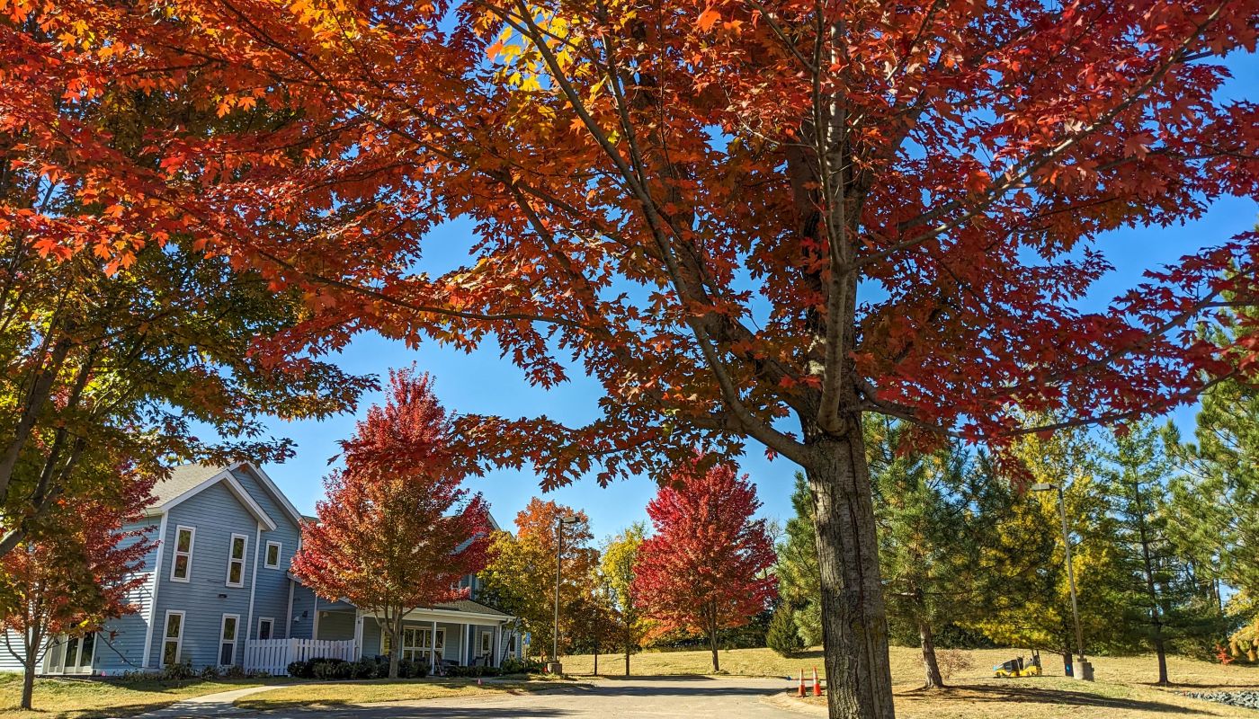 RockBridge Treatment and Recovery