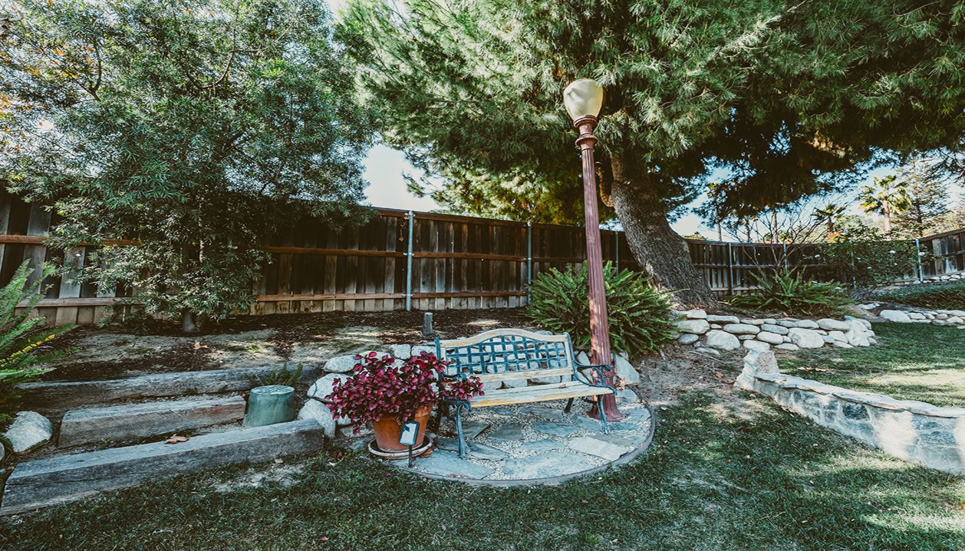 Shadow Hills Recovery