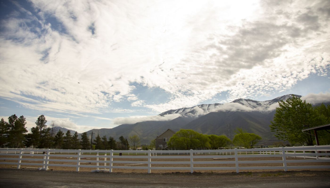 Stabilization and Assessment at New Haven