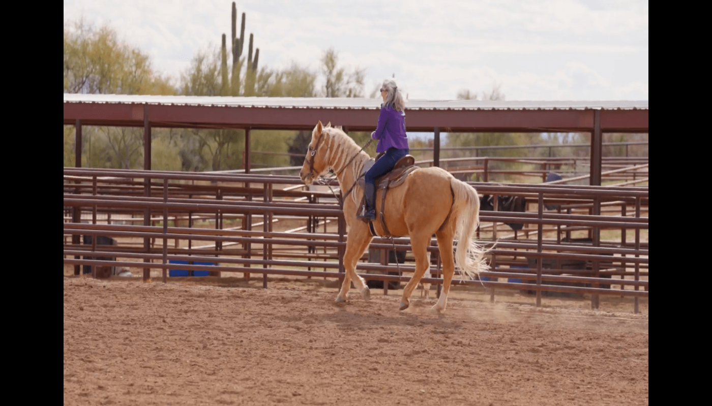 The Summit Sanctuary