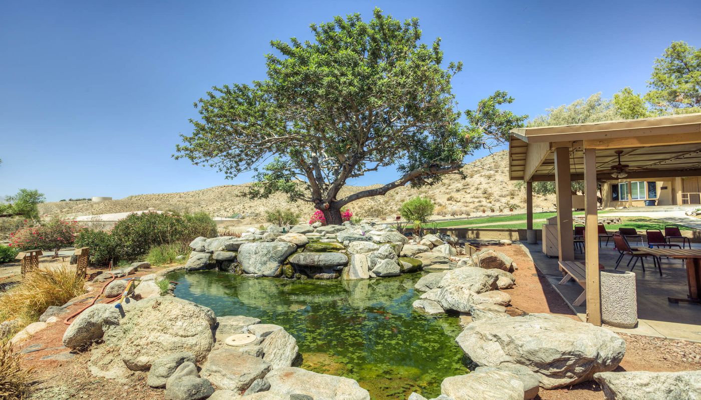 The Ranch Recovery Centers