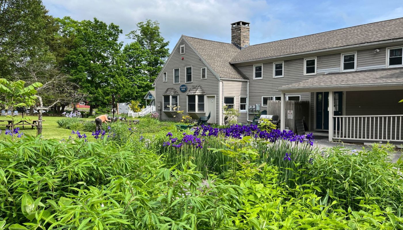 Wellspring Adolescent Girls Program